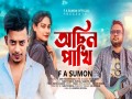 Achin Pakhi