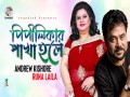 Pipilikar Pakha Hole