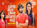 Tor Mone Kono Jayga Nai