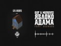 Yabloko Adama
