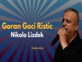 Nikola Lizdek