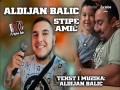 Stipe Amić