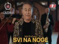 Svi Na Noge
