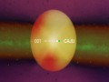 Caju