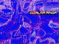 Calma Amiga