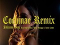 Cochinae Remix