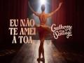 Eu Não Te Amei À Toa