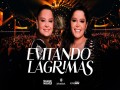 Evitando Lágrimas
