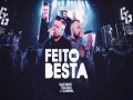 Feito De Besta