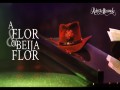 Flor E O Beija-Flor