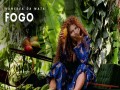 Fogo