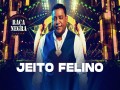 Jeito Felino