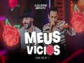 Meus Vícios