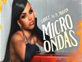 Microondas
