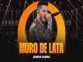 Muro De Lata