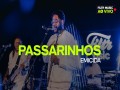 Passarinhos