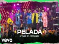 Pelada