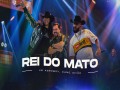 Rei Do Mato