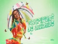 Respingo De Saudade