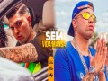Sem Vida Mansa