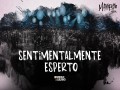 Sentimentalmente Esperto