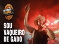 Sou Vaqueiro De Gado
