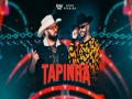 Tapinha