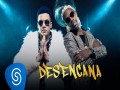 Desencana