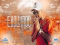 Evoluindo