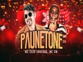 Paunetone