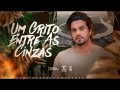 Um Grito Entre As Cinzas