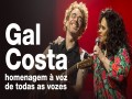 Uma Homenagem À Gal Costa