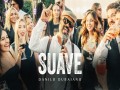 Vida Em Notas: Suave