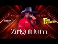 Ziriguidum