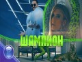 Shampion