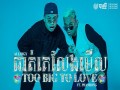 Too Big To Love
