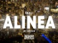 Alinea
