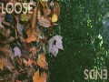 Loose Ends