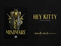 Hey Kitty