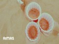 Maya | Remix