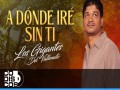 A Dónde Iré Sin Ti
