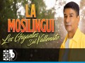 La Mosilingui