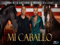 Mi Caballo