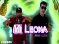 Mi Leona