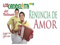 Renuncia De Amor