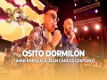 Un Osito Dormilon En Vivo