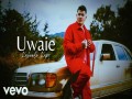 Uwaie
