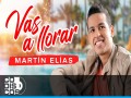 Vas A Llorar