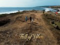 Full Of Vibes