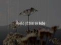 Često Pistam Za Tebe